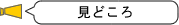 見どころ